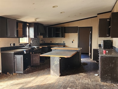 10279 Private Road 6055, Hawley, TX 79525 - photo 7