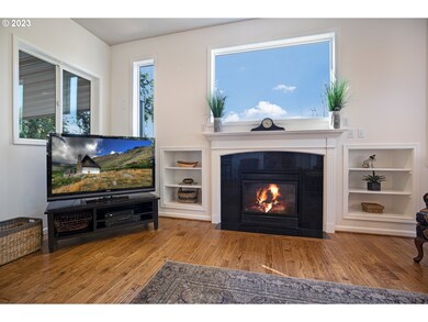Fireplace Gas