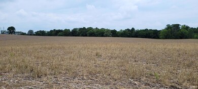 61 Acres Westgate Rd, Bloomfield, IN 47424 - photo 3