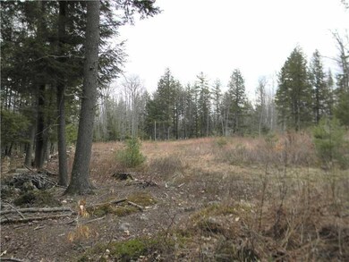 Lot #4 Sweden Rd, Bridgton, ME 04057 - photo 4