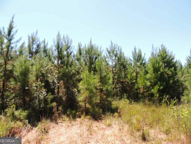 13.9 +/- AC Awbreys Gin Rd, Franklin, GA 30217 - photo 2