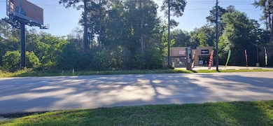 818 Honea Egypt Rd, Magnolia, TX 77354 - photo 5