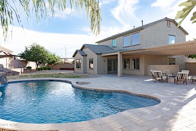 Backyard Oasis