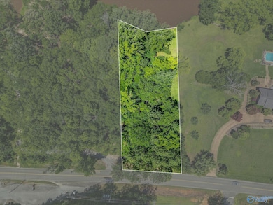 lot 1 Rainbow Dr, Rainbow City, AL 35906 - photo 4