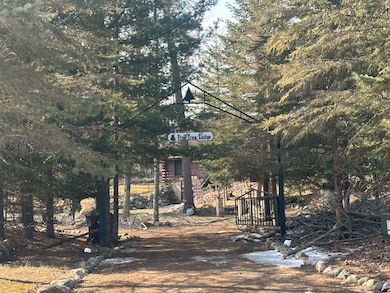 8676 Eagles Way, Pickerel, WI 54465 - photo 2