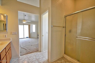 Master Bath Walk-in Shower