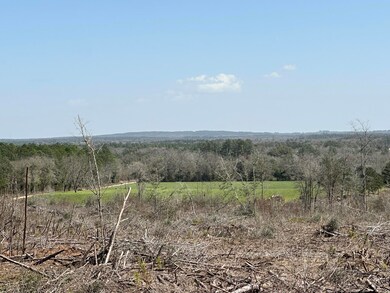 Tract#6410 Davidson Road S - W5 unit 286 +/- AC, Bonifay, FL 32425 - photo 3