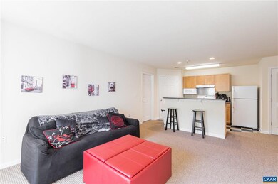 195 Yellowstone Dr unit 4, Charlottesville, VA 22903 - photo 3