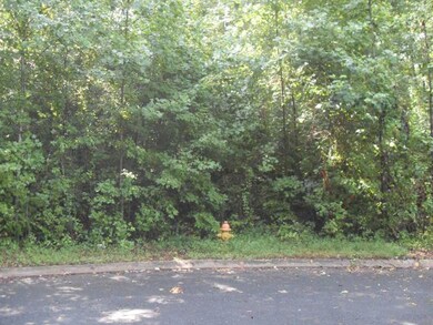Loblolly lots pic - Copy