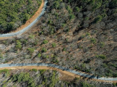 761 High Trail Dr unit 39, Nebo, NC 28761 - photo 2