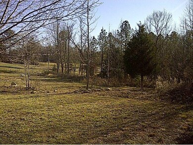 2108 Quakenbush Rd, Snow Camp, NC 27349 - photo 3