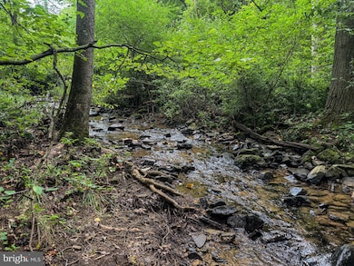 0 Laurel Dale Rd, New Creek, WV 26743 - photo 4