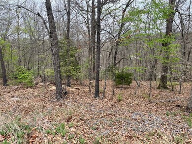 0 Sandhurst Dr, Bella Vista, AR 72714 - photo 2