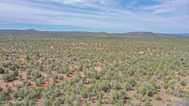 Lot 199 Juniperwood Ranch, Ash Fork, AZ 86320 - photo 7