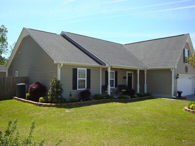 Left View of the House