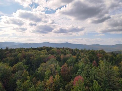 0 Upper Fisher Rd, Roxbury, VT 05663 - photo 2