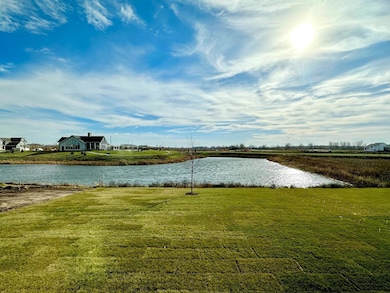 What a beautiful view out the back of this home!