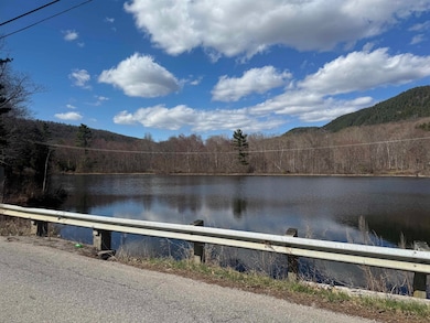 On the opposite side of the pond is the property.