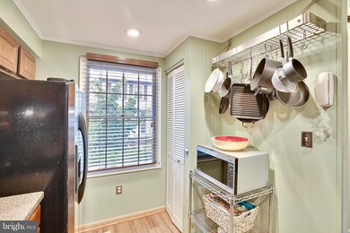 5968 Rowanberry Dr, Elkridge, MD 21075 - photo 5