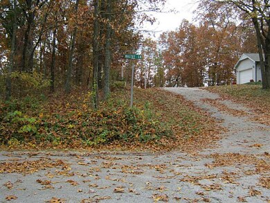 L74 Maltby Ln, Bella Vista, AR 72715 - photo 5