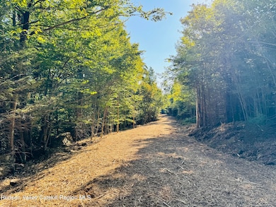 14 Corfu Rd, Hunter, NY 12427 - photo 3