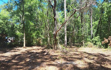 4359 288th St, Branford, FL 32008 - photo 2