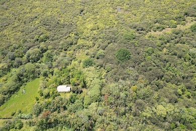 280 Laula Rd, Hilo, HI 96720 - photo 2