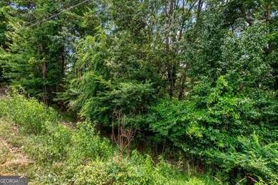 Lot 36 Talona Mountain Rd unit 34, Ellijay, GA 30536 - photo 4