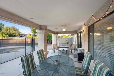 Backyard4