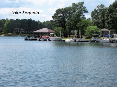 289 Firetree Ln, West End, NC 27376 - photo 2