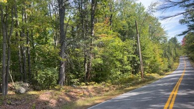 TBD Wakefield Rd, Newfield, ME 04095 - photo 7