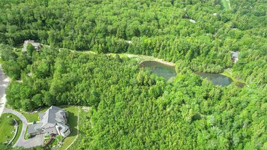 65 Boulder Ridge Rd unit 121, Hale's Location, NH 03860 - photo 2