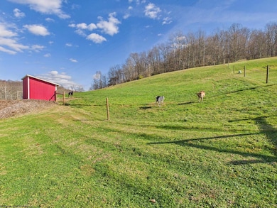 3819 Saltwell Rd, Bridgeport, WV 26330 - photo 5