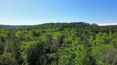 0 E Armuchee Rd unit 1512840, Lafayette, GA 30728 - photo 2