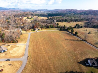 0 Spring Harbor Dr unit 1524184, Spring City, TN 37381 - photo 5