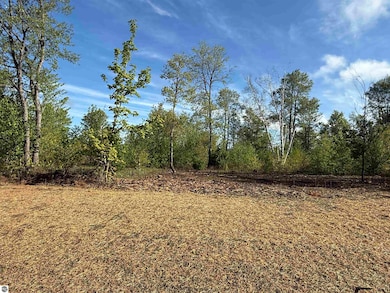 1087 E Solaris Way, Maple City, MI 49664 - photo 3