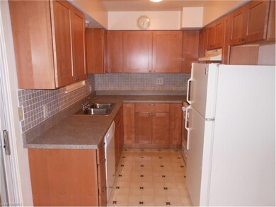 New kitchen cabinets, counter top and back splash.