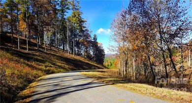 81 Timber Ridge Cir unit LOT 18, Leicester, NC 28748 - photo 5