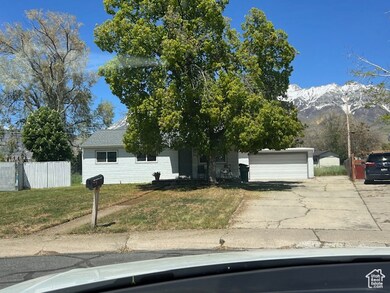 View of property hidden behind natural elements featuring a mountain view and concrete driveway
