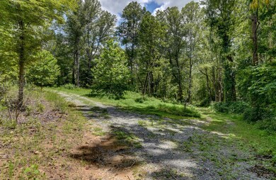 0 N Otter Creek Rd unit 361183, Bedford, VA 24523 - photo 6