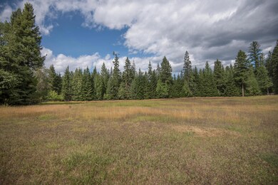 352 Murer Ln, Bigfork, MT 59911 - photo 3