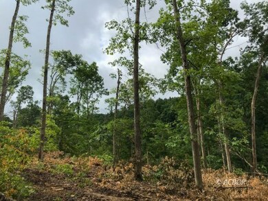 East Branch Rd 32 acres