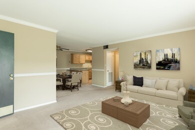 900_Mtn_Creek_Rd_15