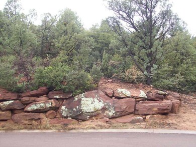 1002 S Montana Cir, Payson, AZ 85541 - photo 3