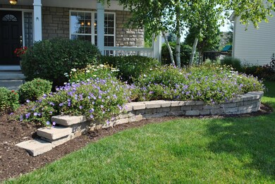 Lush, Mature Perennials Surround