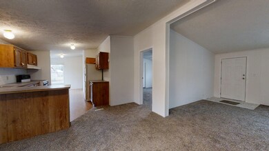 1348-Zilke-Rd-Niles-MI-49120-11302020_17