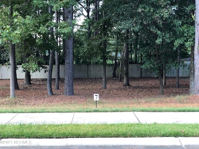Lot 7-