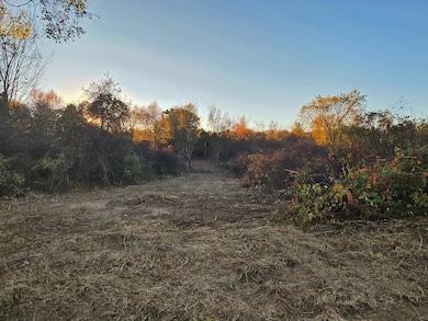 VL-B-Dutch-Rd,-Rives-Junction-MI-49277-D