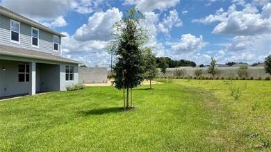 Lot Premium - 1245 Hendon Loop, Davenport, FL