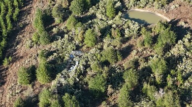 3711 Felix Currie Rd, Oakhurst, TX 77359 - photo 6